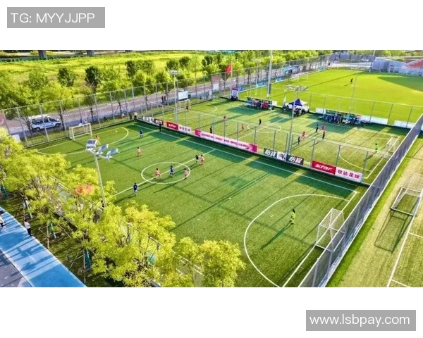 南京足球主场的魅力与发展探索助力城市文化与体育产业融合